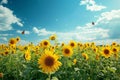 A vibrant field filled with sunflowers standing tall and facing the blue sky, Endless fields of sunflowers under a bright summer Royalty Free Stock Photo