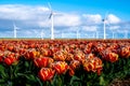 A vibrant field of red and yellow tulips swaying gently in the wind, with traditional windmill turbines towering in the Royalty Free Stock Photo