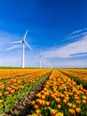 A vibrant field of yellow and red tulips under the watchful gaze of majestic windmills