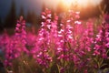 Vibrant Fireweed flowers. Generate Ai