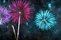 Vibrant fireworks display in the night sky Royalty Free Stock Photo