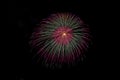 Vibrant Fireworks Exploding Brightly in the Night Sky Royalty Free Stock Photo