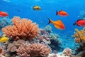 Vibrant Fish Among Colorful Corals: A Stunning Underwater Scene.