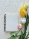 Blank Notebook with Colorful Spring Tulips Flat Lay Royalty Free Stock Photo