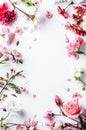 Vibrant Floral Arrangement Bordering a Blank White Background for Creative Design Royalty Free Stock Photo