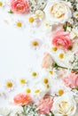 Vibrant Floral Arrangement Bordering a Blank White Background for Creative Design Royalty Free Stock Photo