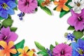 Vibrant Floral Frame On A White Background Perfect For Special Occasions And Celebrations