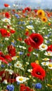 Vibrant flower fields in full bloom with sunflowers, poppies, daisies, bees, and butterflies Royalty Free Stock Photo