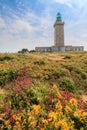 Vibrant flowers and the Phare du Cap FrÃÂ©hel