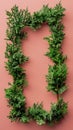 Vibrant Frame of Greenery on Terracotta Background Nature Artistic Touch with Evergreen Foliage in Bold Rectangular Display