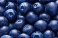 Vibrant Fresh Blueberries Background: A Burst of Deliciousness.