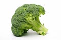 Vibrant Fresh broccoli. Generate Ai