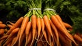 vibrant fresh carrot background