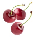 Isolated flying cherries. Three cherry fruits isolated on white background with clipping path Royalty Free Stock Photo