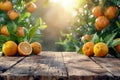 Vibrant Fresh Oranges with Leaves on Rustic Wooden Table with Sunlight Bursting Through Orchard Trees