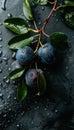 Vibrant fresh ripe blue plums fruit background for versatile use and vibrant displays Royalty Free Stock Photo