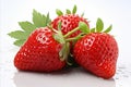Vibrant and fresh ripe strawberries with water droplets isolated on a clean white background