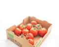 Vibrant fresh ripe tomatoes on vine in paper box isolated on white grocery delivery concept Royalty Free Stock Photo