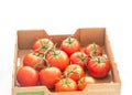 Vibrant fresh ripe tomatoes on vine in paper box isolated on white grocery delivery concept Royalty Free Stock Photo
