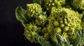 Vibrant fresh Romanesco broccoli with fractal patterns on a dark background Royalty Free Stock Photo