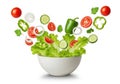 Vibrant fresh salad ingredients exploding upwards from a white bowl creating a whimsical and healthy culinary display Royalty Free Stock Photo