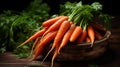 Vibrant and freshly picked carrots in a rustic basket on earthy soil canon 5d mark iv, f5.6