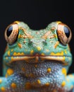 Vibrant Frog Portrait with Intricate Patterns Royalty Free Stock Photo