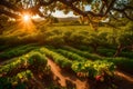 a vibrant fruit garden