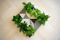 Vibrant Geometric Symmetry on Wood Panel Floor Royalty Free Stock Photo