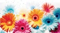 Vibrant gerbera daisies photo realistic illustration - Generative AI.