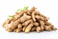 Vibrant ginger root isolated on a clean white background to boost search visibility Royalty Free Stock Photo