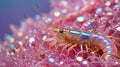 A vibrant, glossy shrimp with an iridescent shell
