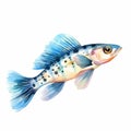 Watercolor Goby Clipart With White Background