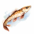 Watercolor Goby Clipart With White Background