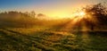 Vibrant gold sunrise over a rural landscape