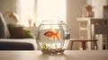 Vibrant Goldfish in Crystal Clear Bowl