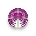 Red Cabbage Cross Section Art - Graphic Illustration of Healthy Food Royalty Free Stock Photo