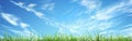 Vibrant Grass Field Under Clear Blue Sky Royalty Free Stock Photo