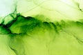 Vibrant Green alcohol ink abstract background. Fresh Lime ethereal painting. Hand painted ink texture. Modern art Royalty Free Stock Photo