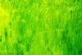 Vibrant green artistic background with expressive brushstrokes Royalty Free Stock Photo