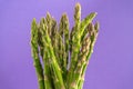 Vibrant green asparagus contrast beautifully against a rich purple background. Royalty Free Stock Photo