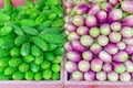 Vibrant green bitter melon and purple Asian eggplants at vegetable stand in Little India, Singapore Royalty Free Stock Photo