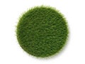 Vibrant green circular patch of lush grass isolated on white background Royalty Free Stock Photo