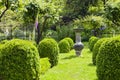 Vibrant green english garden with summer flowers .