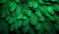 Vibrant green feathers texture background detailed digital art of majestic bird feathers