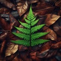 A vibrant green fern leaf stands against a background of rich, brown decaying leaves covering the forest floor