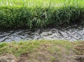 Vibrant Green Field with Lush Growth and Water Supply