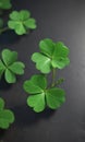 Vibrant green four-leaf clover, close-up detail, design element, green Royalty Free Stock Photo