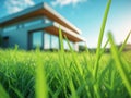 Vibrant Green Grass in Focus with Modern House in Bright Outdoor Setting Royalty Free Stock Photo