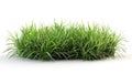 Vibrant Green Grass: A Refreshing Cut-Out Background for Your Designs - 3D Rendered Royalty Free Stock Photo